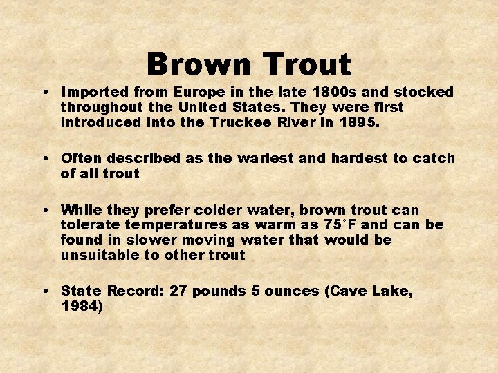 Brown Trout • Imported from Europe in the late 1800 s and stocked throughout