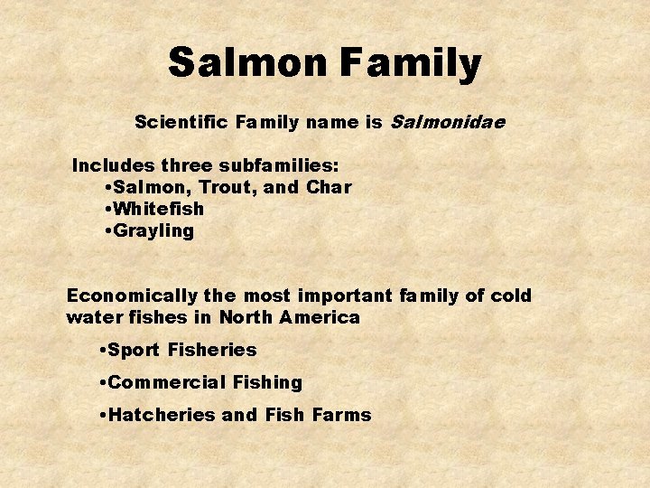 Salmon Family Scientific Family name is Salmonidae Includes three subfamilies: • Salmon, Trout, and