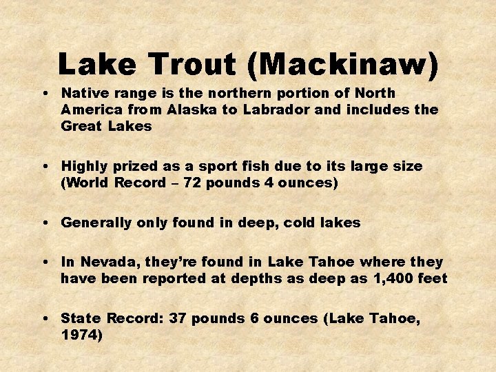Lake Trout (Mackinaw) • Native range is the northern portion of North America from