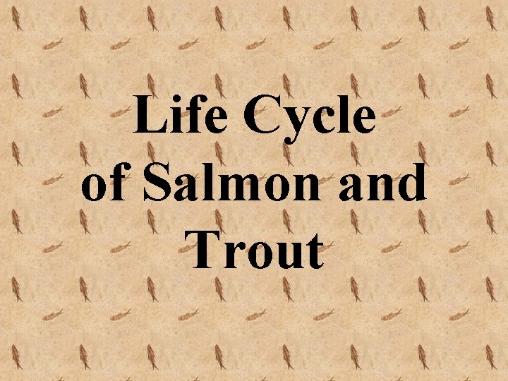Life Cycle of Salmon and Trout 