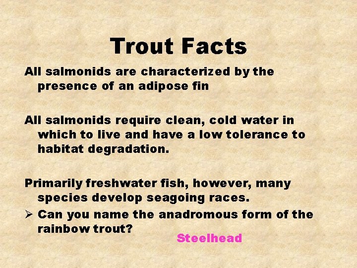 Trout Facts All salmonids are characterized by the presence of an adipose fin All