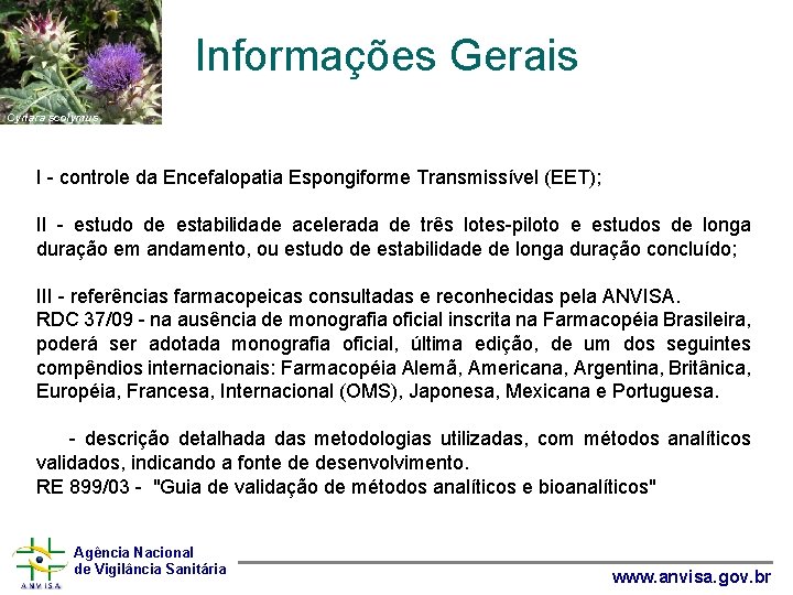 Informações Gerais Cynara scolymus I - controle da Encefalopatia Espongiforme Transmissível (EET); II -