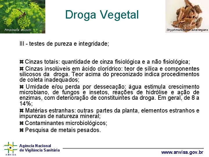 Droga Vegetal Pimpinella anisum Stryphnodendron adstringens III - testes de pureza e integridade; Cinzas