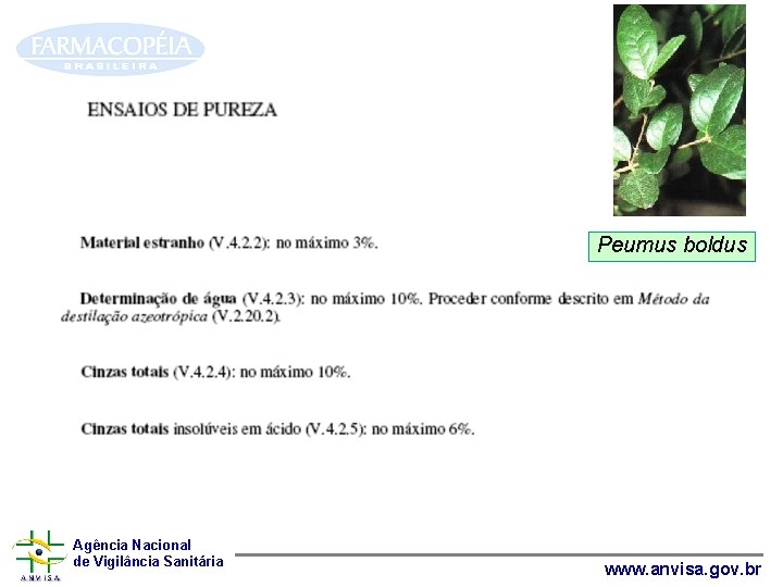 Peumus boldus Agência Nacional de Vigilância Sanitária www. anvisa. gov. br 