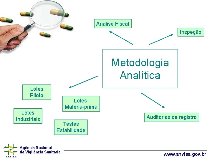 Análise Fiscal Inspeção Metodologia Analítica Lotes Piloto Lotes Industriais Lotes Matéria-prima Auditorias de registro