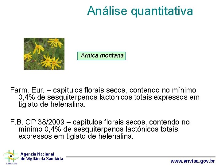 Análise quantitativa Arnica montana Farm. Eur. – capítulos florais secos, contendo no mínimo 0,