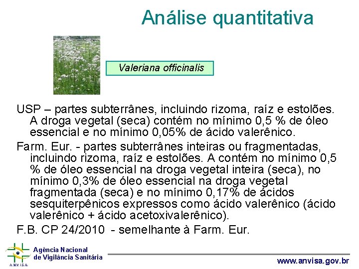 Análise quantitativa Valeriana officinalis USP – partes subterrânes, incluindo rizoma, raíz e estolões. A