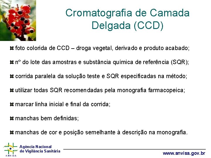 Cromatografia de Camada Delgada (CCD) foto colorida de CCD – droga vegetal, derivado e