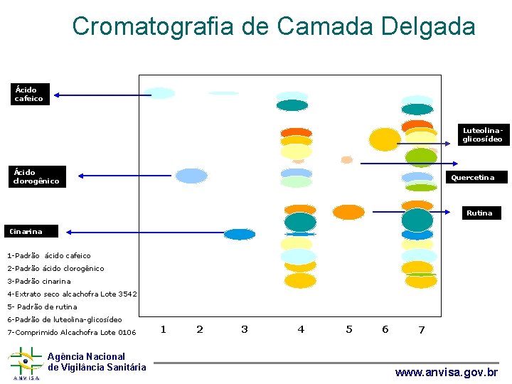 Cromatografia de Camada Delgada • Ácido cafeico Luteolinaglicosídeo Ácido clorogênico Quercetina Rutina Cinarina 1