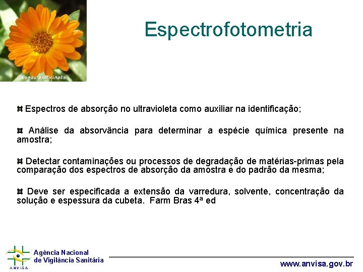 Espectrofotometria Calendula officinalis Espectros de absorção no ultravioleta como auxiliar na identificação; Análise da