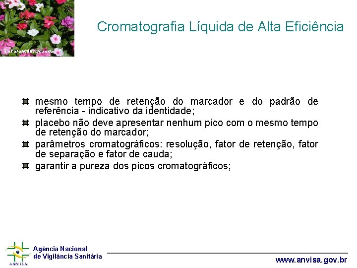  Cromatografia Líquida de Alta Eficiência Cataranthus roseus mesmo tempo de retenção do marcador