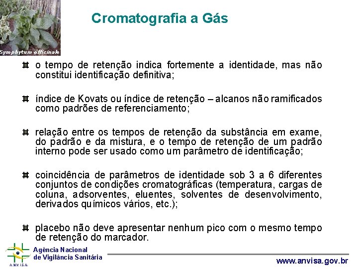  Cromatografia a Gás Symphytum officinale o tempo de retenção indica fortemente a identidade,
