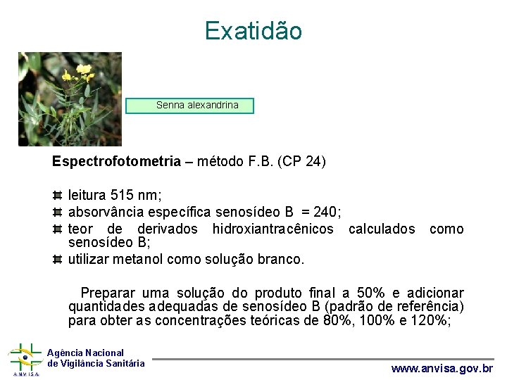 Exatidão Senna alexandrina Espectrofotometria – método F. B. (CP 24) leitura 515 nm; absorvância