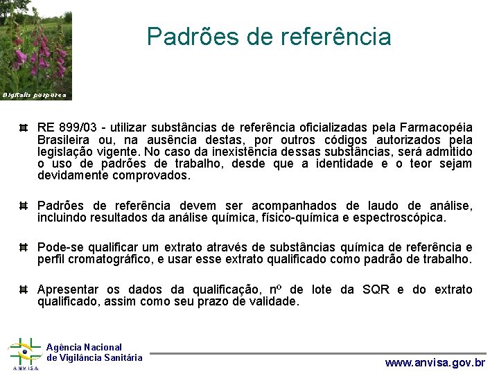 Padrões de referência Digitalis purpurea RE 899/03 - utilizar substâncias de referência oficializadas pela