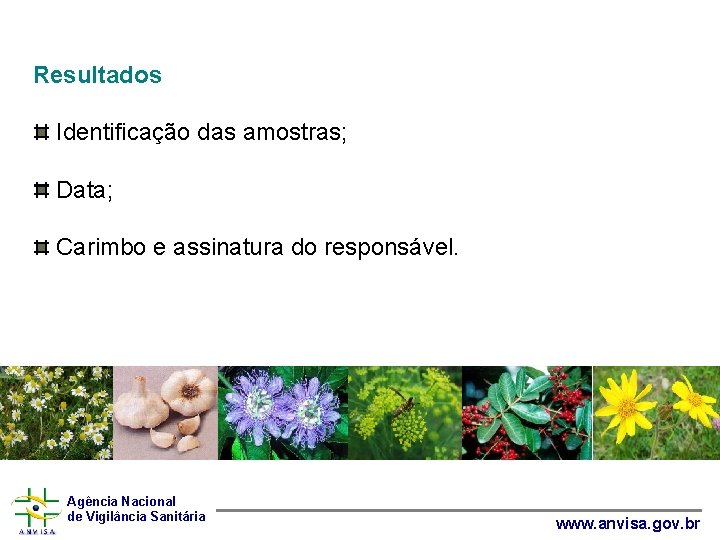 Resultados Identificação das amostras; Data; Carimbo e assinatura do responsável. Ginkgo biloba Agência Nacional
