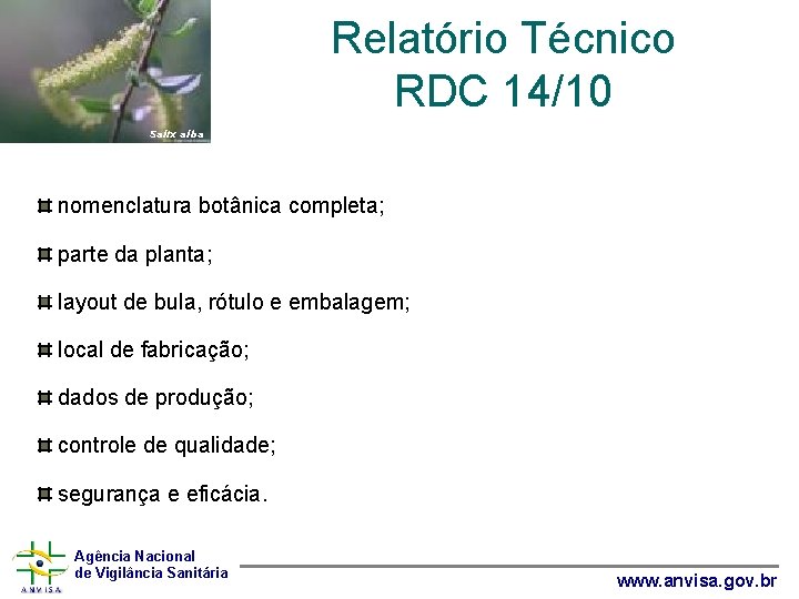 Relatório Técnico RDC 14/10 Salix alba nomenclatura botânica completa; parte da planta; layout de