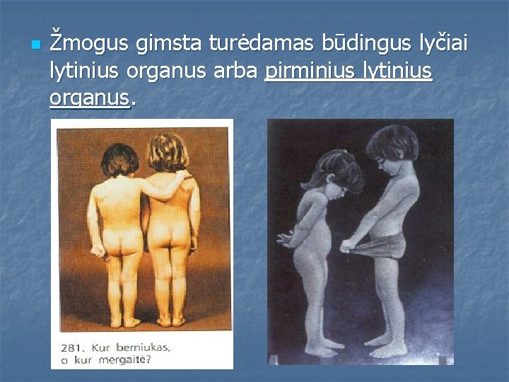 n Žmogus gimsta turėdamas būdingus lyčiai lytinius organus arba pirminius lytinius organus. 