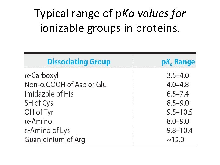 Typical range of p. Ka values for ionizable groups in proteins. 
