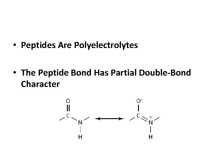  • Peptides Are Polyelectrolytes • The Peptide Bond Has Partial Double-Bond Character 