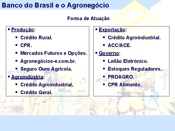 Banco do Brasil e o Agronegócio Forma de Atuação § Produção: § Crédito Rural.