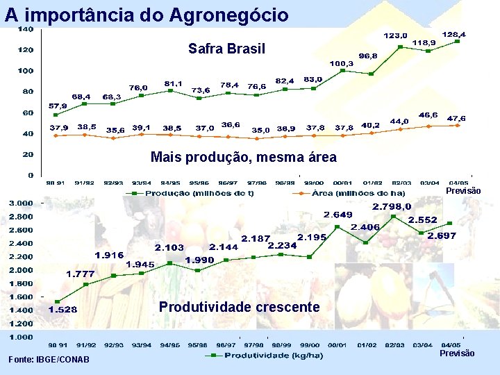 A importância do Agronegócio Safra Brasil Mais produção, mesma área Previsão Produtividade crescente Fonte: