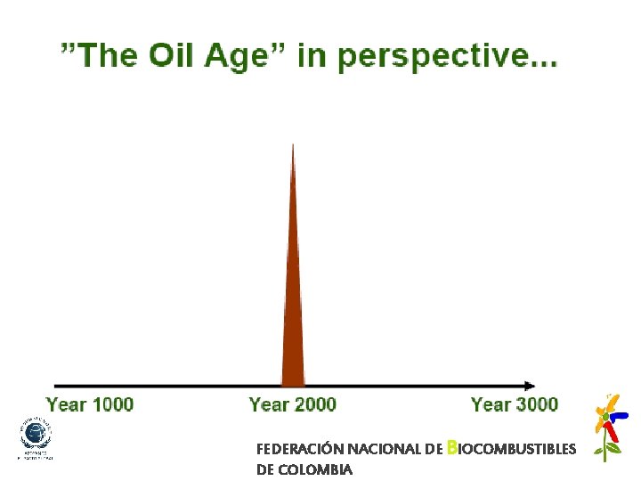 FEDERACIÓN NACIONAL DE BIOCOMBUSTIBLES DE COLOMBIA 