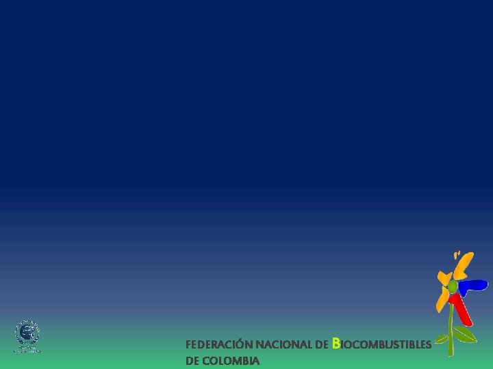 FEDERACIÓN NACIONAL DE BIOCOMBUSTIBLES DE COLOMBIA 