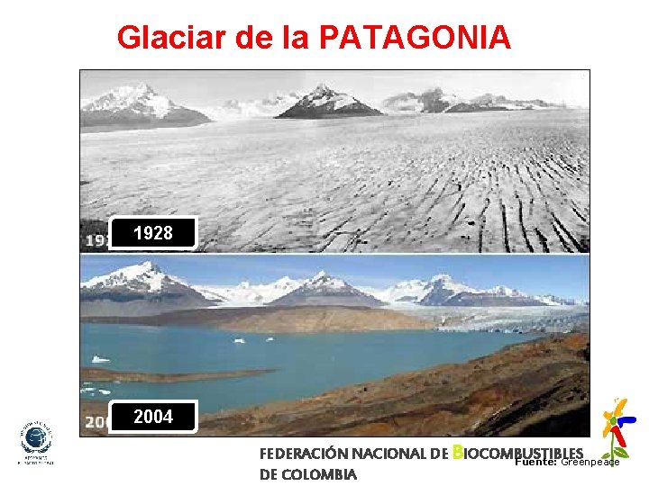 Glaciar de la PATAGONIA 1928 2004 FEDERACIÓN NACIONAL DE BIOCOMBUSTIBLES Fuente: Greenpeace DE COLOMBIA