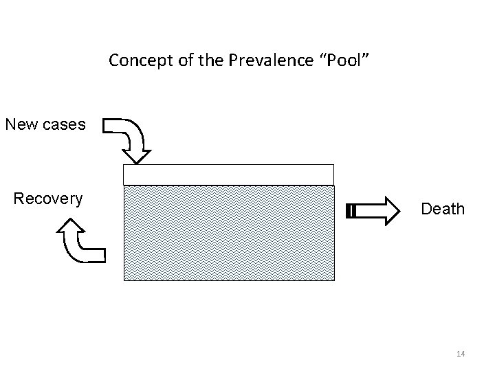 Concept of the Prevalence “Pool” New cases Recovery Death 14 