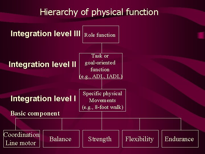 Hierarchy of physical function Integration level III Role function Integration level II Task or