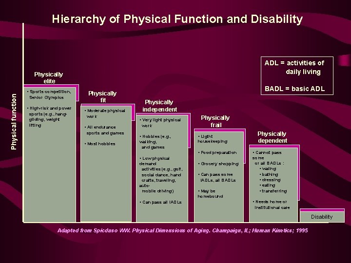 Hierarchy of Physical Function and Disability ADL = activities of daily living Physical function