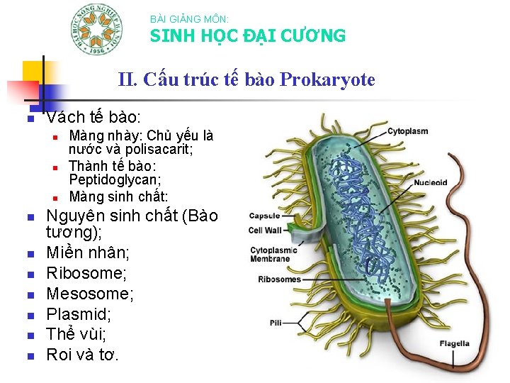 BÀI GIẢNG MÔN: SINH HỌC ĐẠI CƯƠNG II. Cấu trúc tế bào Prokaryote n