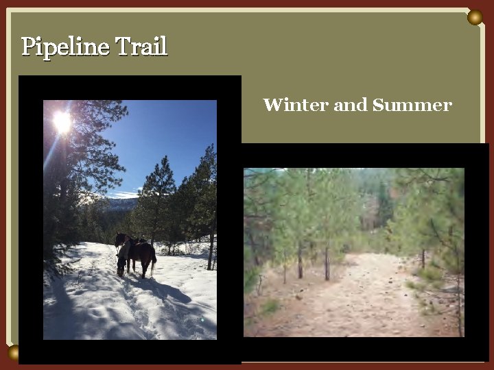Pipeline Trail Winter and Summer 