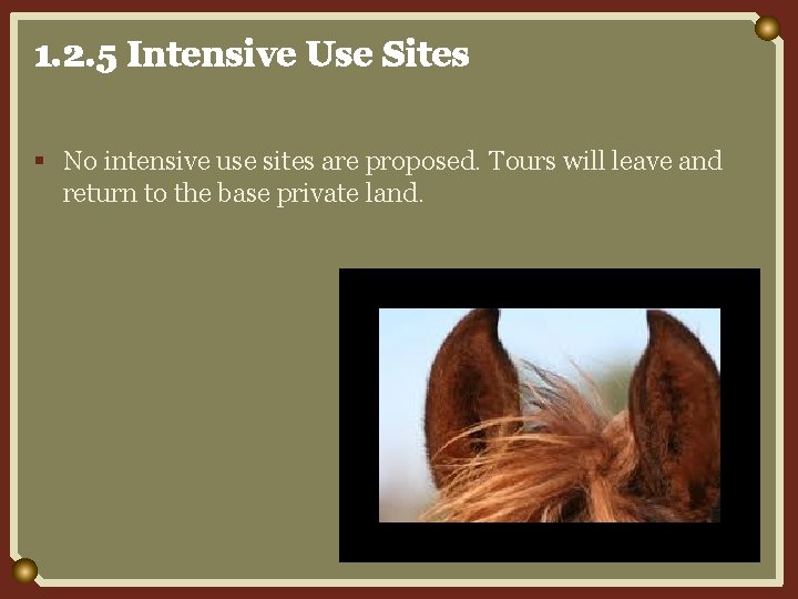 1. 2. 5 Intensive Use Sites § No intensive use sites are proposed. Tours