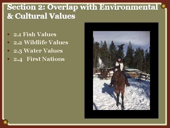 Section 2: Overlap with Environmental & Cultural Values § § 2. 1 Fish Values