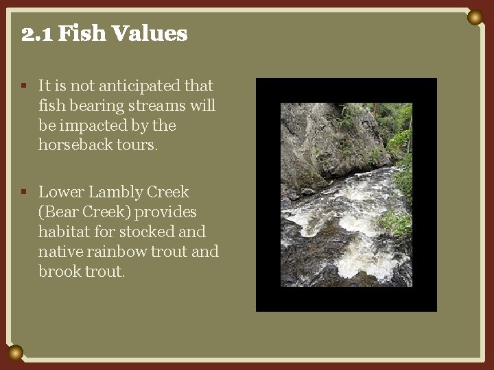 2. 1 Fish Values § It is not anticipated that fish bearing streams will