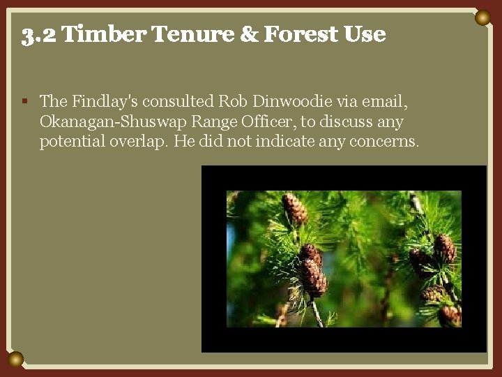 3. 2 Timber Tenure & Forest Use § The Findlay's consulted Rob Dinwoodie via