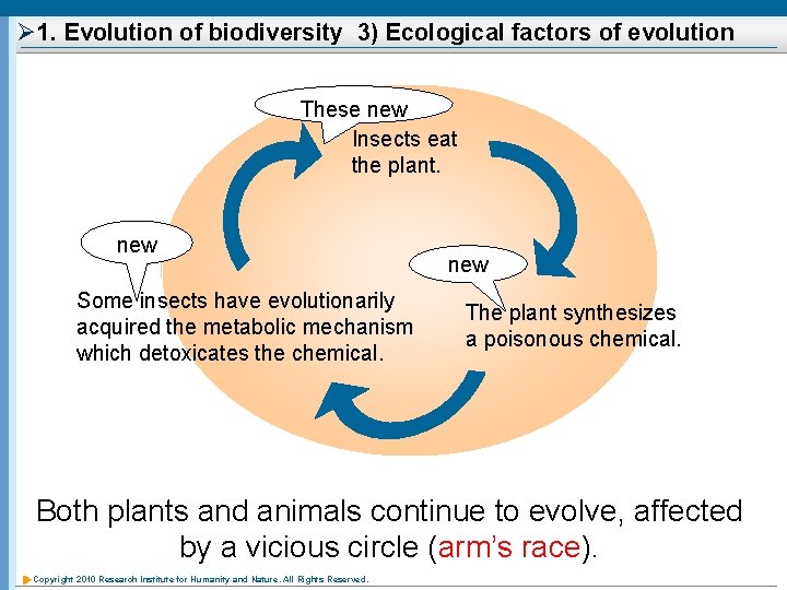Ø 1. Evolution of biodiversity 3) Ecological factors of evolution These new Insects eat