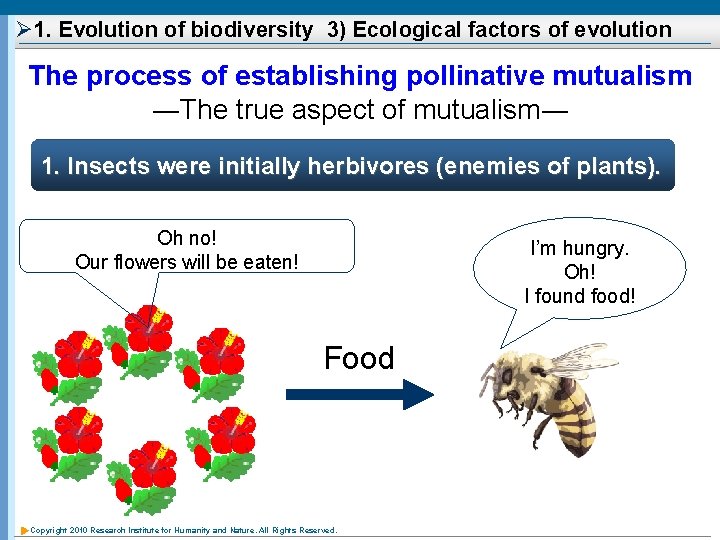 Ø 1. Evolution of biodiversity 3) Ecological factors of evolution 　 The process of