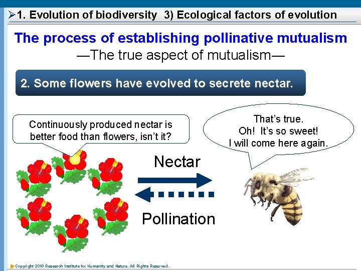 Ø 1. Evolution of biodiversity 3) Ecological factors of evolution The process of establishing