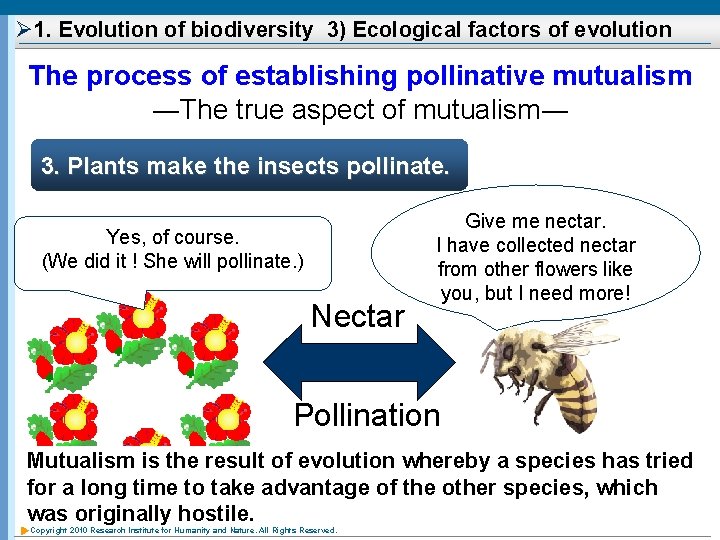 Ø 1. Evolution of biodiversity 3) Ecological factors of evolution The process of establishing