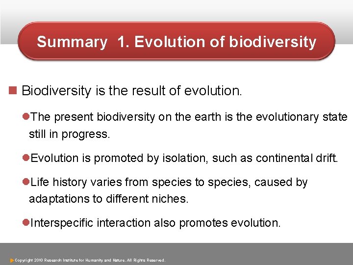 Summary 1. Evolution of biodiversity n Biodiversity is the result of evolution. l. The