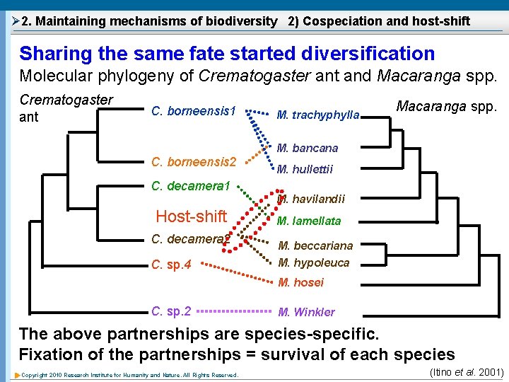 Ø 2. Maintaining mechanisms of biodiversity 2) Cospeciation and host-shift Sharing the same fate