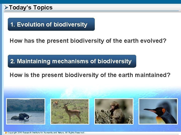 ØToday’s Topics 1. Evolution of biodiversity How has the present biodiversity of the earth