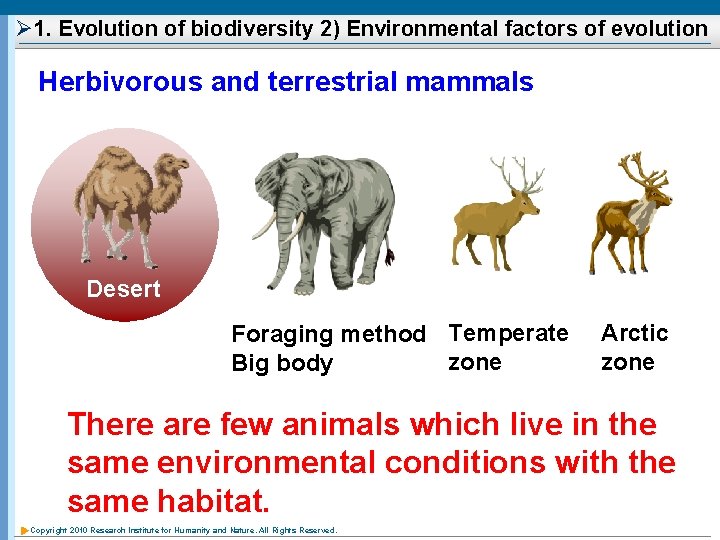 Ø 1. Evolution of biodiversity 2) Environmental factors of evolution Herbivorous and terrestrial mammals