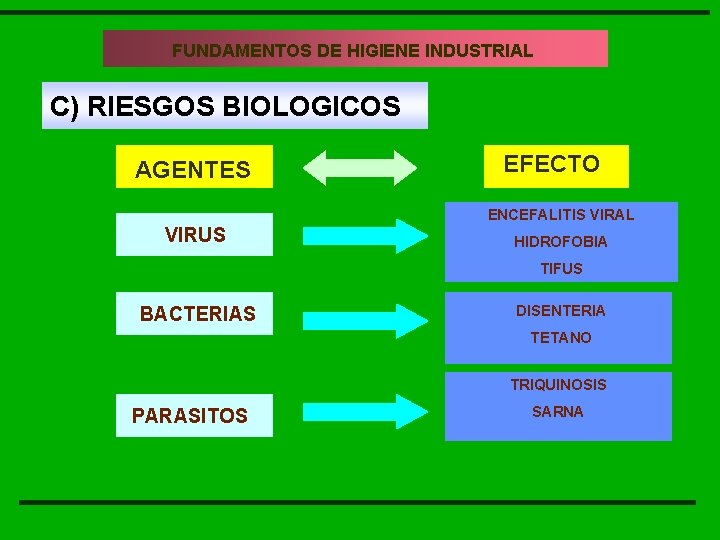 FUNDAMENTOS DE INDUSTRIAL FUNDAMENTOS DEHIGIENE LA HIGIENE INDUSTRIAL C) RIESGOS BIOLOGICOS AGENTES EFECTO ENCEFALITIS