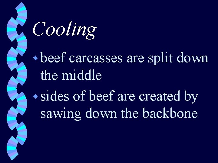 Cooling w beef carcasses are split down the middle w sides of beef are
