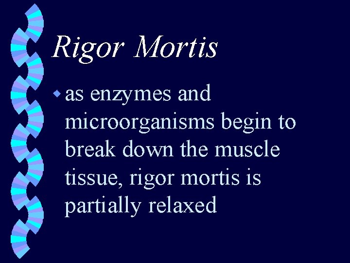 Rigor Mortis w as enzymes and microorganisms begin to break down the muscle tissue,