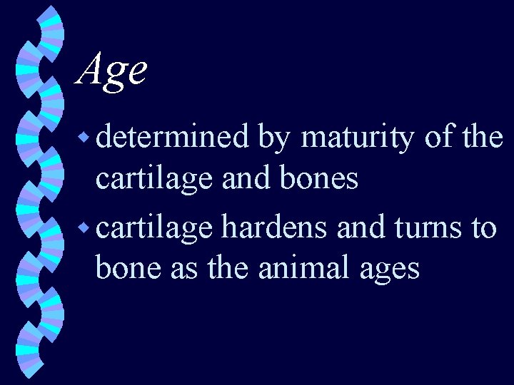 Age w determined by maturity of the cartilage and bones w cartilage hardens and