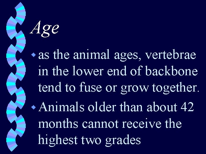 Age w as the animal ages, vertebrae in the lower end of backbone tend